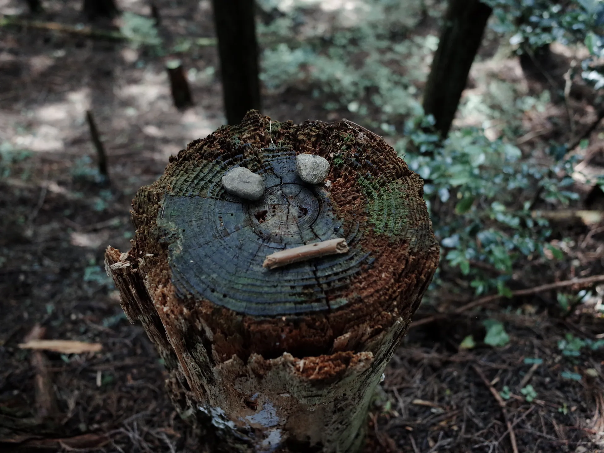 日本熊野古道 4 天 3 夜